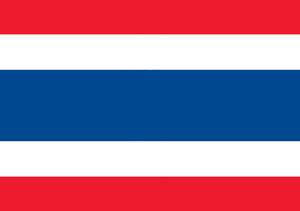 What Southeast Asian country does this flag belong to?